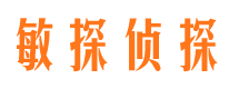 龙门市调查公司